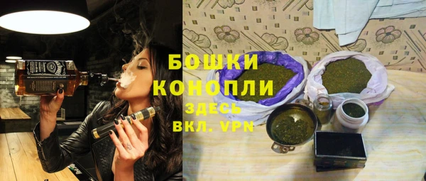 дмт Белокуриха
