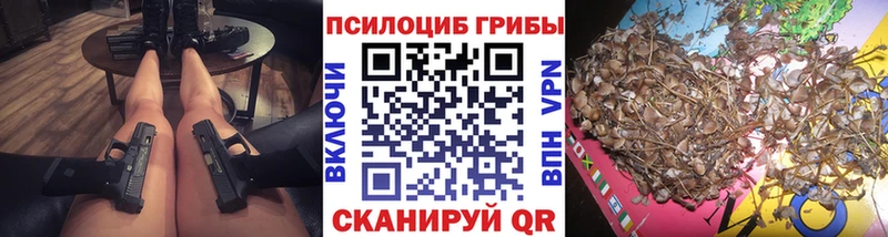 продажа наркотиков  Сердобск  дарк нет клад  Галлюциногенные грибы MAGIC MUSHROOMS 